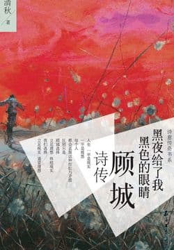 Cover of 黑夜给了我黑色的眼睛：顾城诗传